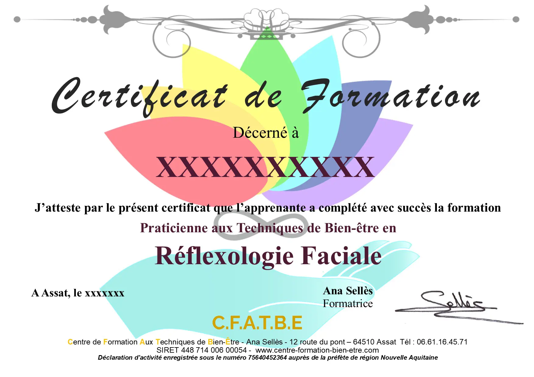 Certificat officiel de formation en réflexologie faciale délivré par le CFATBE