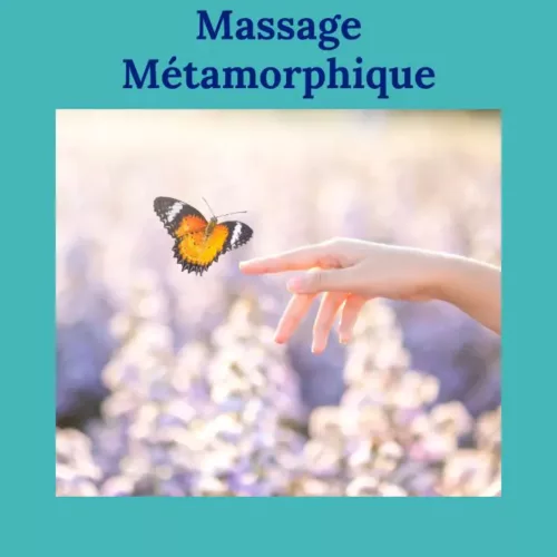 Main tendue vers un papillon symbolisant la transformation lors d’un massage métamorphique.