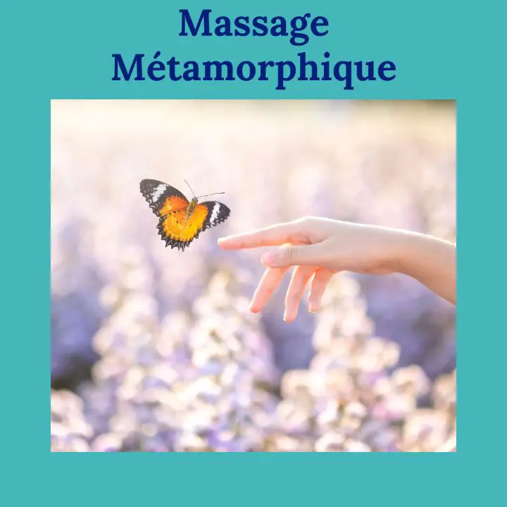 Main tendue vers un papillon symbolisant la transformation lors d’un massage métamorphique.