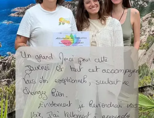Retour sur une formation au massage métamorphique en présentiel et en individuel